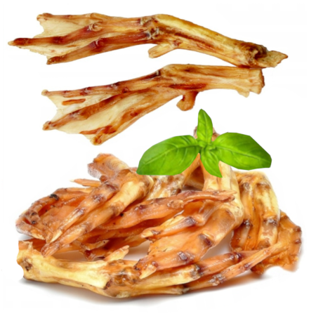 KACZE ŁAPKI PP1.png