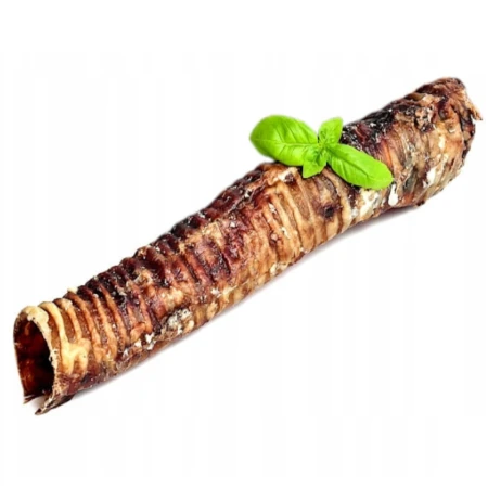 TCHAWICA WOŁOWA 1SZT 30CM PP3.png