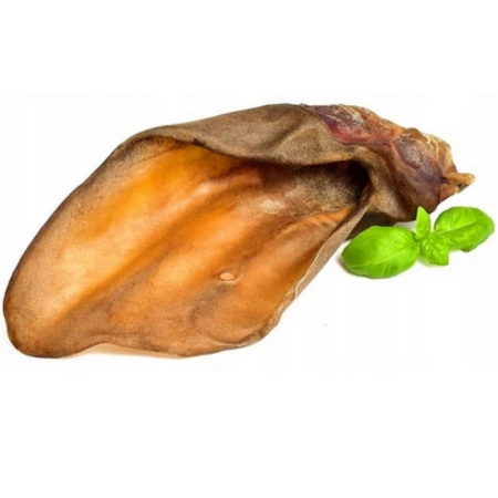 ucho wołowe 2PP.png