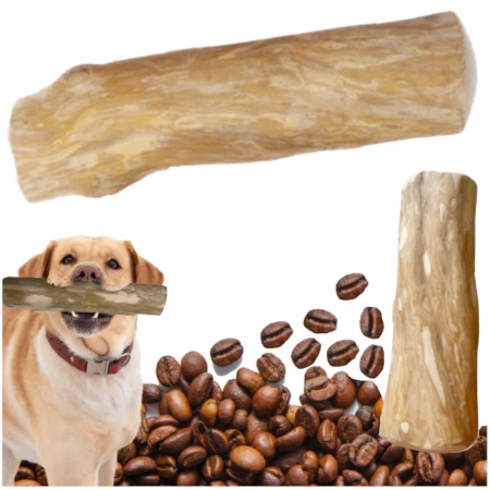 PATYK KAWOWY PP1.png