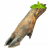 NOGA DZIKA 2PP .png