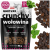UNISZKI CRUNCHY Z WOŁOWINY PP1.png