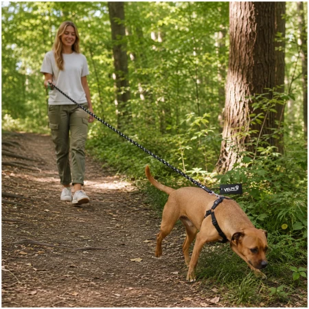 SMYCZ LINKA 10M 11.png