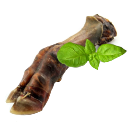 NOGA BARANIA GRAFIKA2 PP.png