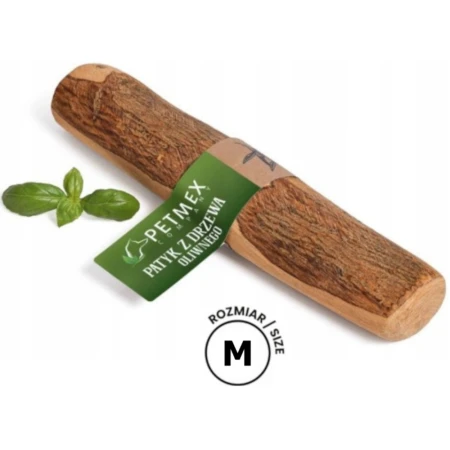 PATYK Z DRZEWA OLIWNEGO M 2PP.png