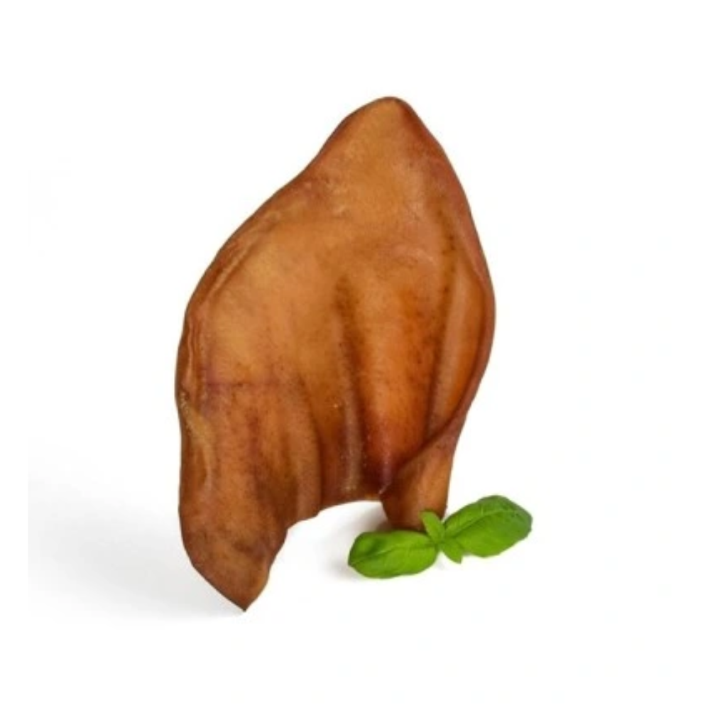 UCHO WIEPRZOWE 1 SZT 2PP.png